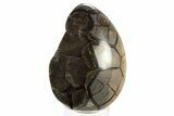 Septarian Dragon Egg Geode - Black Crystals #323468-2